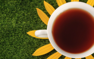 Intrinsieke waarde verbind Ubuntu en rooibos aan mekaar