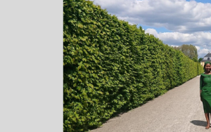 IPB student attends international conference in Germany