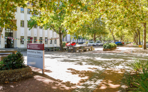 Joint statement by Stellenbosch University and the University of Groningen