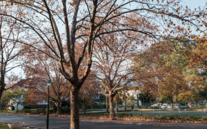 Kommunikasie uit die Raad (vergadering van 20 Junie 2022)