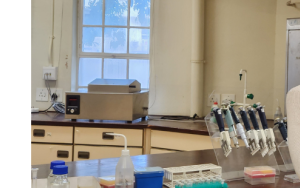 L’Oreal-UNESCO grant will support research to combat antimalarial resistance