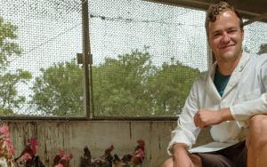 Matie ontwikkel probiotikum vir braaikuikens