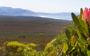 Nature conservation requires more dynamic approach to weather impacts of climate change