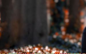 New DVC ready to increase SU's impact in research, innovation and postgraduate studies