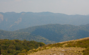 New ecoregion recognised in Malawi and Mozambique