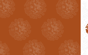 New publication highlights Maties researchers` role in fight against COVID-19