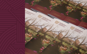 New report showcases SU’s efforts to build “the Africa we want”