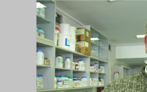 New yeast species named after SU scientist