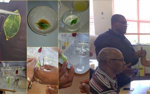 Onderwyser-professionele leer het vroeg in 2020 begin!