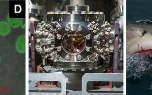 Ons Tuiskoms-program vir BSc-alumni