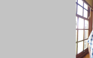 Prof. Patterton lei bioinformatika-inisiatief by die US