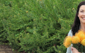 Research hailed as a “game changer” for pincushion flower industry