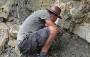 Resolving cryptic stratigraphy in the Ecca Group