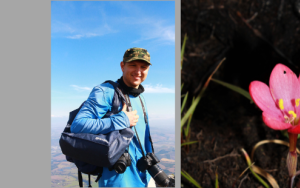 SA plantkundige ontdek nuwe iris-spesie in die Langeberg