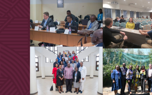 Samewerking in Afrika