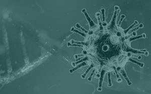 Scientists unravel the COVID-19 pandemic