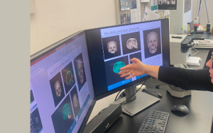 ‘Silent mass disaster’ of missing and unidentified people – the impact of forensic facial imaging