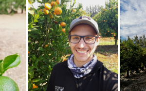 Sitrus: Meer fokus op windlanings nodig