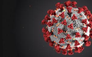 South African health experts have identified a new lineage of SARS-CoV-2: what’s known so far