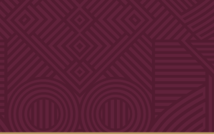 Stellenbosch University Senate supports Vice-Chancellor’s pursuit of inclusivity and multilingualism