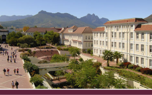 Stellenbosch University’s cohort of A-rated researchers increases
