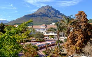 SU to co-lead four newly announced Africa-Europe Clusters of Research Excellence