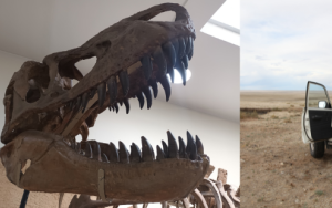 SU Earth Scientist in the Eastern Gobi, Mongolia