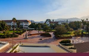 SU Teaching Fellowships 2024