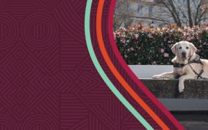 SU 'a very different place today' for persons with disabilities