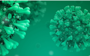 Support for lecturers during "Emergency Remote Teaching, Learning and Assessment"