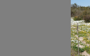 SU’s Guy Midgley one of Reuters’ most influential climate scientists