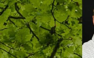 Tribute to Dr Alwyn Louw