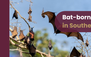 Understanding Bat-Borne Viruses: CERI's Monthly Seminar Highlights One Health Approach