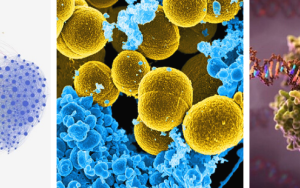 US bied opwinde nuwe interdissiplinêre studie-opsies in die natuurwetenskappe