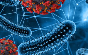 US-geleide internasionale konsortium ontvang EU-toekenning van R101 m vir navorsing oor epidemies