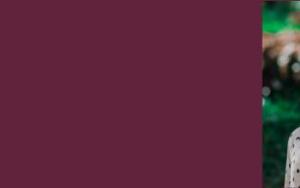 US wetenskaplike vereer deur wêreld se grootste organisasie vir sportgeneeskunde en oefeningwetenskap