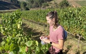 US-wingerdkundeprojek oor klimaatsverandering verskyn op CNN