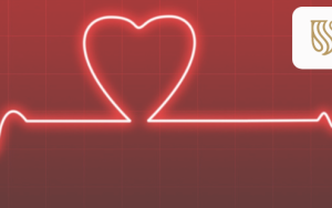 Use Heart for Every Heart: World Heart Day 2022