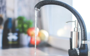 Vennootskappe belangrik om natuurlewe te beskerm