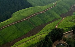 Wanneer klimaatsverandering jou dwing om die enigste (en duurste) opsie te kies