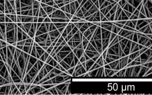 Wiskunde en geslag, nanovesels en immuniteit teen COVID-19