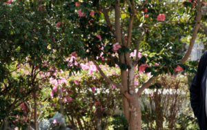 #WomenofSU: Fiona van Kerwel – “Never give up on the possibilities of life"