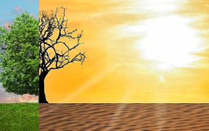 World Environment Day: Civil disobedience and the climate activist movement