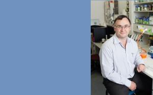 World experts to discuss biobased economy