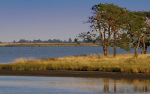 World Nature Conservation Day: Promote the sustainability and resilience of natural resources