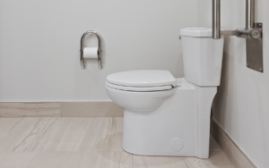 World Toilet Day: Many still lack safe toilets, proper sanitation facilities