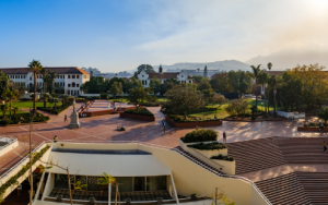 Your mother language: What's in it for you?