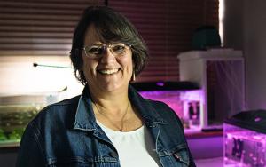 Zebrafish study shows adverse effects of ivermectin use