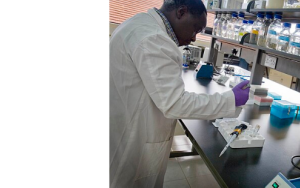 African scientists call for equitable research partnerships to advance microbiome research