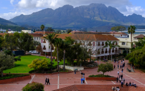 African universities must strengthen alumni participation, prioritise societal needs